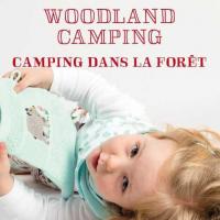 159 livre point de croix woodland camping4