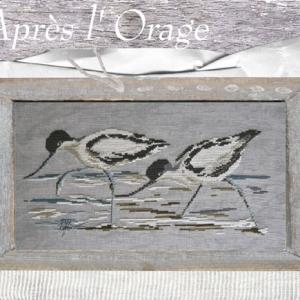 L avocettes apres l orage port10