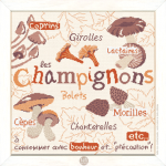 Les champignons g022 fiche broderie lilipoints