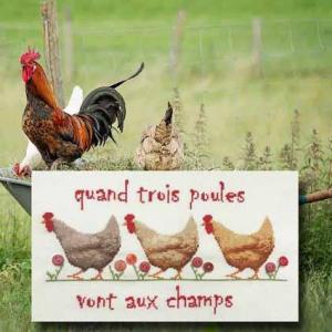 Quand trois poules 1095 au fil de martine