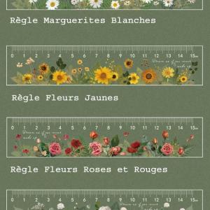 Regles transparentes fleurs 15 cm