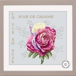 Rose de charme annick abrial