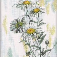 Tender daisies tendres marguerites kit de point de croix rto m261